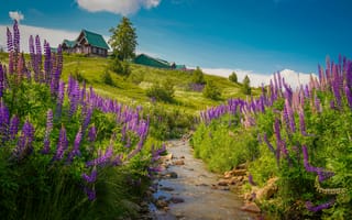 Картинка природа, цветы, пейзаж, река, дом, лето, зелень, горы, синий, красота