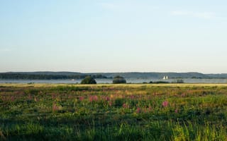 Картинка пейзаж, природа, цветы, трава, утро, горы, небо