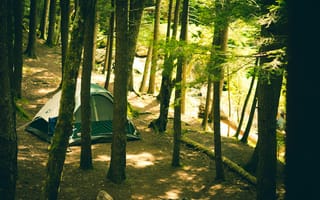 Картинка кемпинг, лес, палатка, природа, отдых, пейзаж, туризм