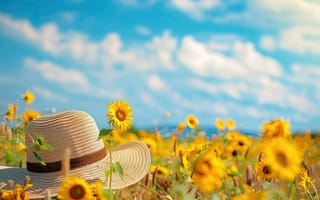 Картинка подсолнухи, шляпа, лето, пейзаж, небо, цветы, природа, солнце