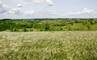 Картинка пейзаж, природа, трава, холмы, небо, деревья, лето