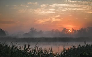 Картинка закат, природа, туман, река, пейзаж, лес, мир