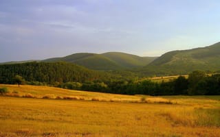 Картинка пейзаж, горы, природа, поле, лето, зелень, небо