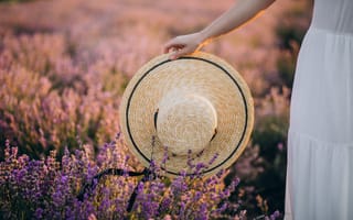 Картинка лаванда, поляна, шляпа, лето, природа, цветы, женщина