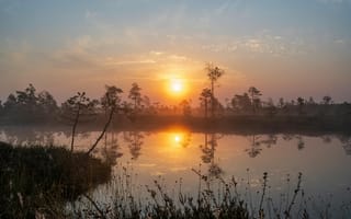 Картинка закат, природа, озеро, деревья, туман, пейзаж, мирный