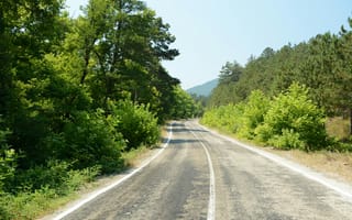 Картинка дорога, природа, лес, пейзаж, лето, зелень, путешествие
