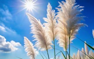 Картинка пейзаж, небо, трава, солнце, природа, цветы, лето, обои