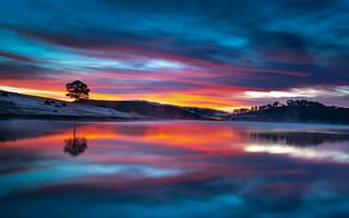 Картинка закат, озеро, природа, отражение, дерево, пейзаж, небо, цвета, мирный, красота