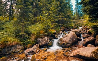 Картинка природа, река, лес, камни, водопад, пейзаж, зелень, отдых