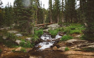Картинка природа, лес, водопад, река, камни, зелень, пейзаж