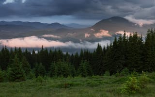 Картинка природа, горы, лес, облака, пейзаж, закат, зелень