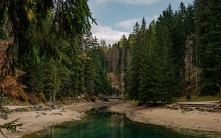 Картинка природа, лес, река, пейзаж, осень, водоем, горизонт