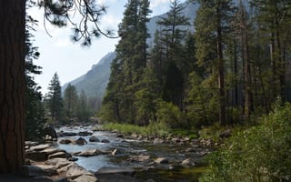 Картинка природа, река, лес, горы, пейзаж, камни, деревья, отдых, вода, освежающий