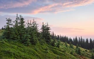 Картинка природа, лес, горы, закат, пейзаж, деревья, зелень