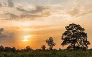 Картинка закат, природа, деревья, пейзаж, небо, солнце, трава