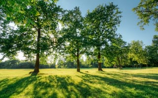 Картинка природа, деревья, пейзаж, зелень, свет, тень, лето, парк, отдых, солнце