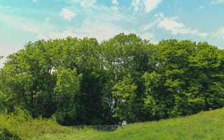 Картинка природа, деревья, пейзаж, небо, зелень, дверь, лето