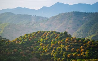 Картинка горы, природа, пейзаж, лес, осень, холмы, пейзажный фон