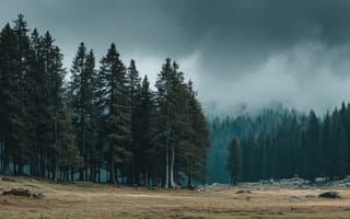 Картинка лес, природа, горы, облака, пейзаж, мгла, деревья