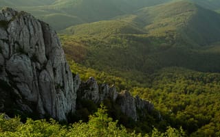 Картинка горы, природа, пейзаж, лес, скалы, зелень, высота