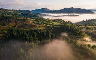 Картинка природа, горы, лес, туман, пейзаж, восход, зелень