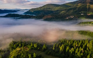 Картинка природа, горы, туман, лес, пейзаж, небо, утро