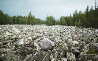 Картинка камни, природа, лес, пейзаж, горы, мох, обои