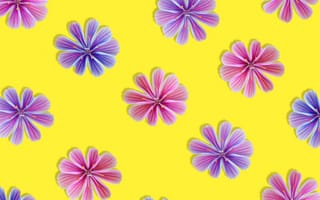 Картинка цветы, желтый, фоновое, обои, декор, природа, красота