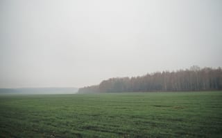 Картинка пейзаж, природа, поле, лес, осень, туман, зелень