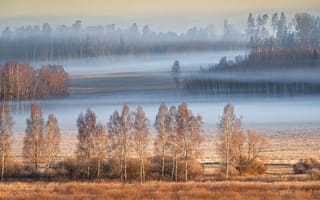Картинка природа, пейзаж, туман, лес, осень, деревья, мгла, поля, спокойствие, красота