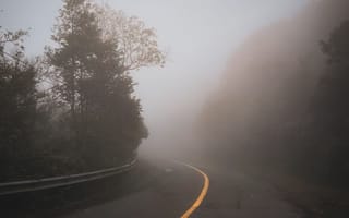 Картинка дорога, туман, природа, пейзаж, лес, мгла, жёлтая линия