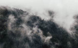 Картинка горы, туман, природа, лес, пейзаж, мгла, осень