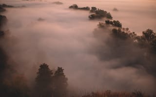 Картинка туман, природа, пейзаж, лес, утро, горы, спокойствие