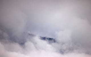Картинка туман, лес, природа, горы, облака, пейзаж, мгла