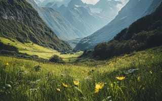 Картинка горы, долина, природа, пейзаж, цветы, небо, лес