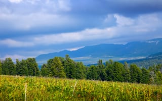 Картинка природа, горы, лес, пейзаж, небо, зелень, отдых