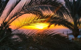 Картинка закат, пальмы, море, природа, пейзаж, лето, отдых