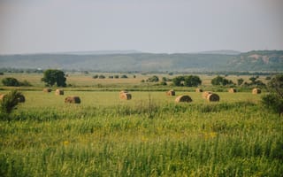 Картинка пейзаж, поля, сено, природа, лето, холмы, деревья