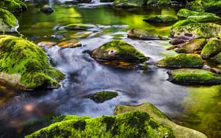Картинка река, камни, мох, природа, вода, пейзаж, зелень, поток