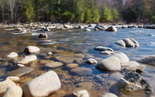 Картинка река, камни, природа, вода, пейзаж, лес, отражение