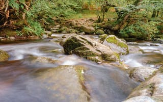 Картинка река, камни, природа, лес, водопад, пейзаж, мягкий свет