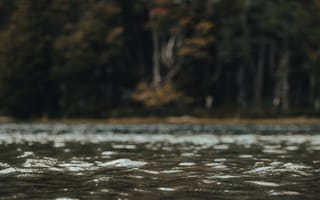 Картинка вода, природа, озеро, лес, пейзаж, отражение, спокойствие