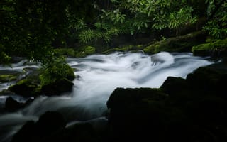 Картинка река, природа, водопад, мох, лес, поток, зелень, тишина, вода, ландшафт