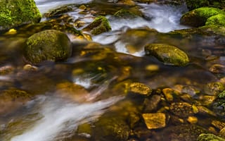 Картинка река, камни, вода, природа, пейзаж, поток, мох