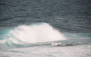 Картинка океан, волны, море, природа, пейзаж, вода, покой
