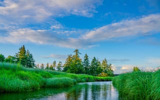 Картинка природа, река, деревья, небо, пейзаж, трава, отражение