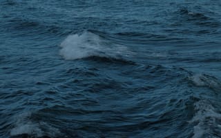 Картинка море, волны, океан, вода, природа, пейзаж, спокойствие