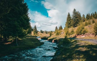 Картинка природа, река, лес, пейзаж, небо, деревья, горы