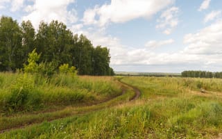 Картинка природа, пейзаж, лес, трава, небо, дорога, лето, отдых, солнце, поляна