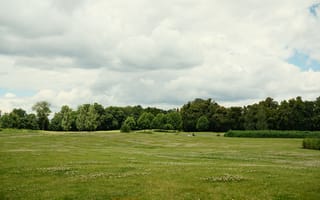 Картинка пейзаж, природа, трава, деревья, небо, облака, лето